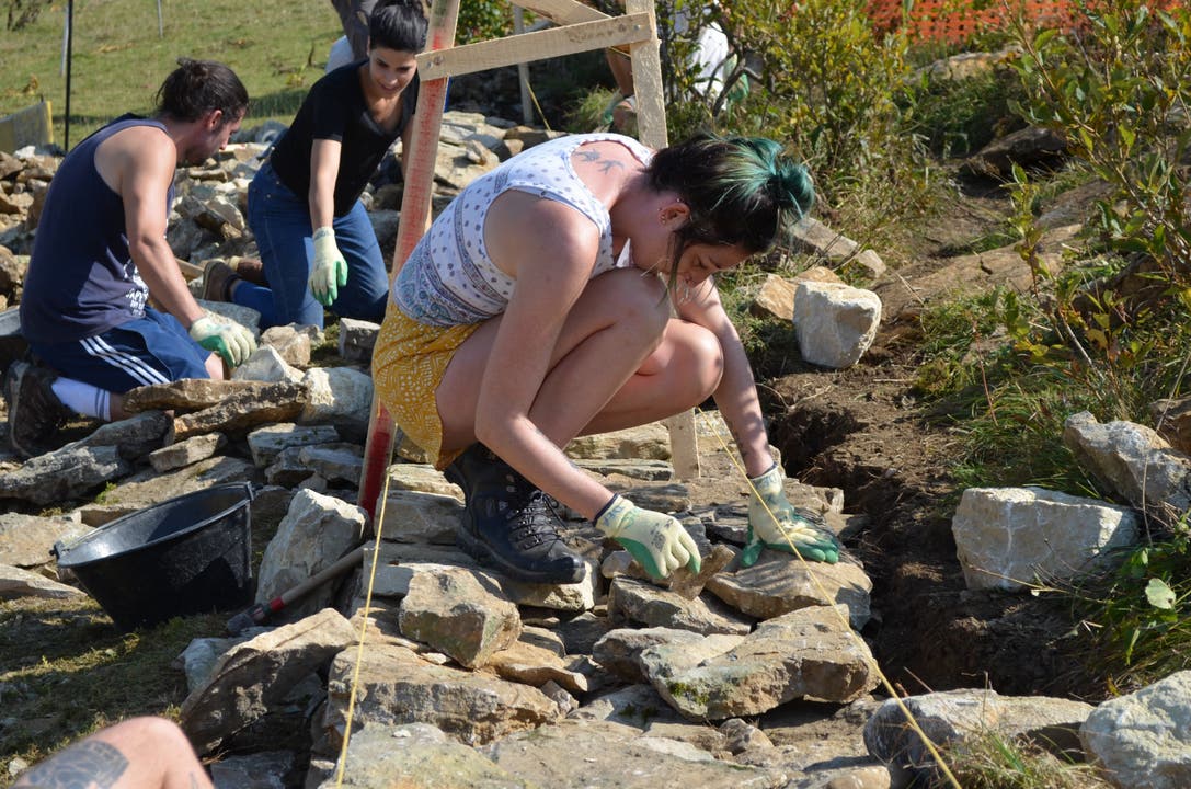 Jugendliche bauen eine Trockenmauer auf dem Grenchenberg