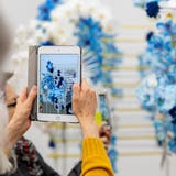 «Blumen für die Kunst» findet wieder statt – mit einer kontroversen Neuerung