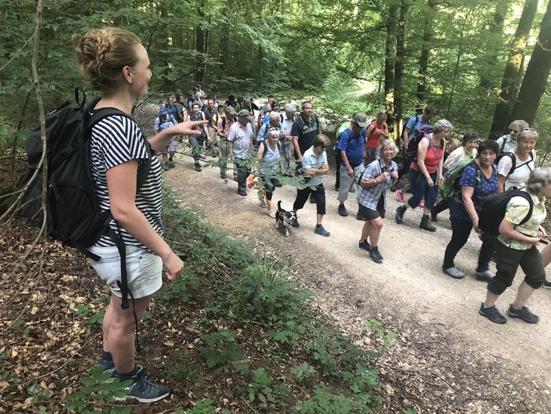 Auch die offizielle Nachzählung durch Aargau-Reporterin Noemi Landolt ergibt: 132 Leserwanderinnen und -wanderer sind mit dabei!