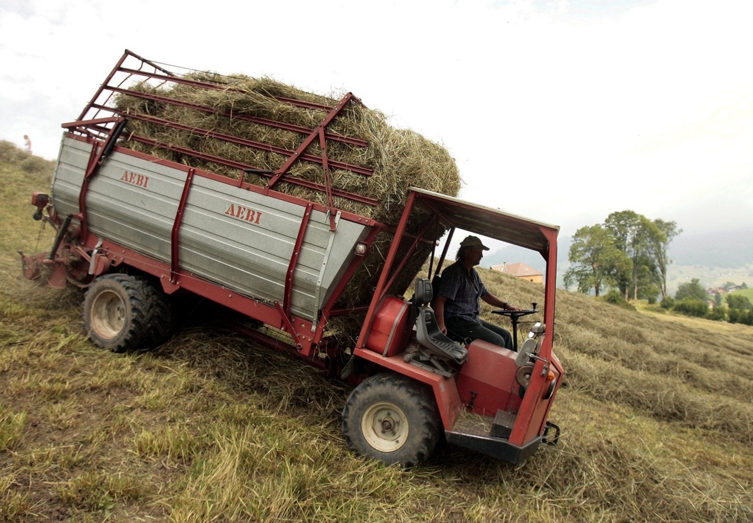 Landwirtschaft - Die Schweizer Bauern Stecken In Der Krise – Der ...