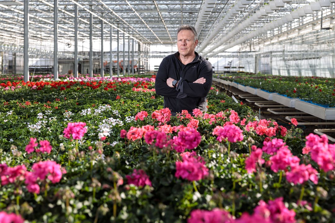 Martin Jost, Geschäftsinhaber Jost Pflanzen AG «Wenn der Stillstand länger dauert, ist es fraglich, ob wir überleben.»