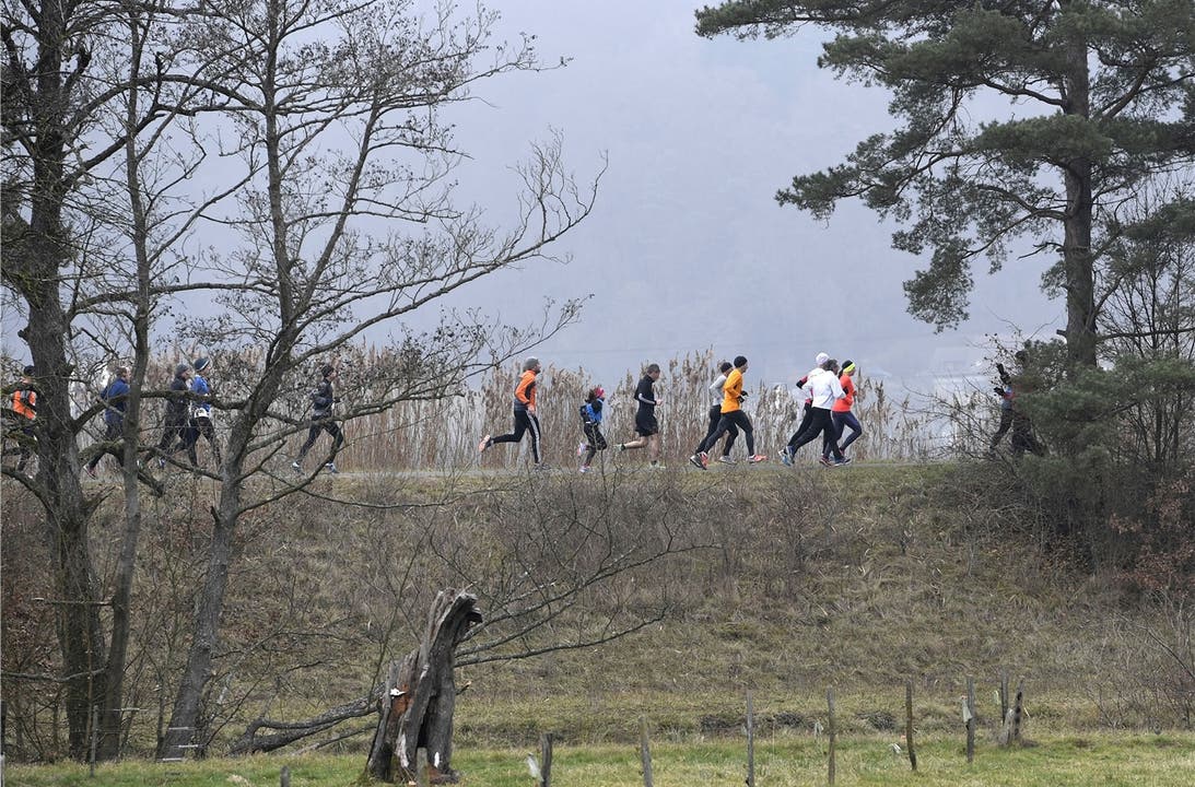 An Silvester findet alljährlich der Gippinger Stauseelauf statt: Hunderte Läufer nehmen jeweils daran teil.