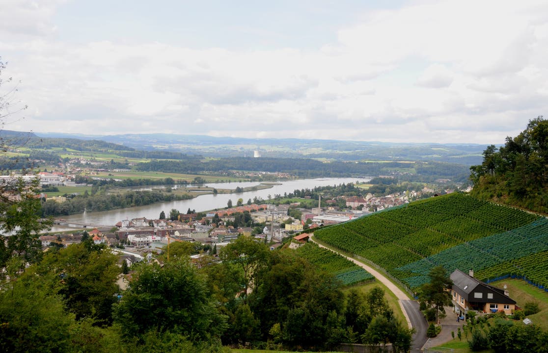Blick vom Winzerdorf Döttingen auf Reben, Klingnau und den Klingnauer Stausee.