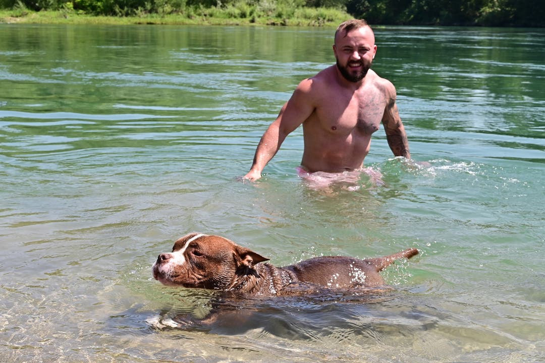 Auch die Hunde haben Freude am Wasser