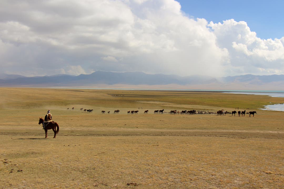Leben in Kirgistan Auf den Hochweiden auf rund 3000 m ü. M. ist man entweder zu Pferd (wie im Bild Nadine Boller) oder mit Lastwagen unterwegs.