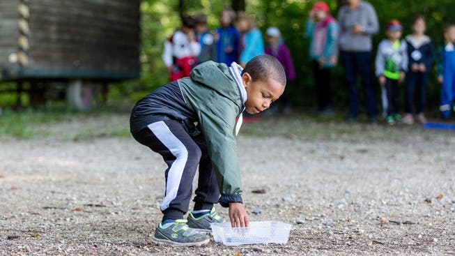 Der Stadtrat muss nun prüfen, wie in allen sieben Schulkreisen gewisse Kindergartenklassen nach dem Prinzip des Waldkindergartens geführt werden können. (Archivbild)