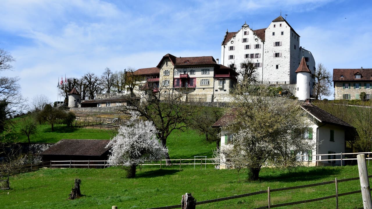 Schloss Wildegg