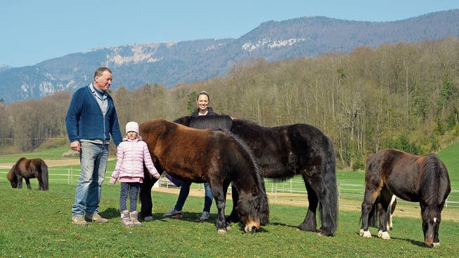 Die Ponys vermissen den Kontakt zu den Kindern, aber auch zu den Menschen, die zu Therapiezwecken kommen.
