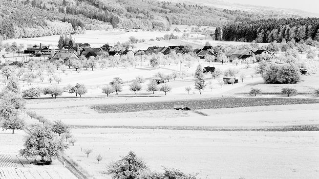 Blick auf das alte Dättwil: Das Bauerndorf vom Segelhof her (noch ohne Forschungszentrum), 1963 von Werner Nefflen fotografiert.
