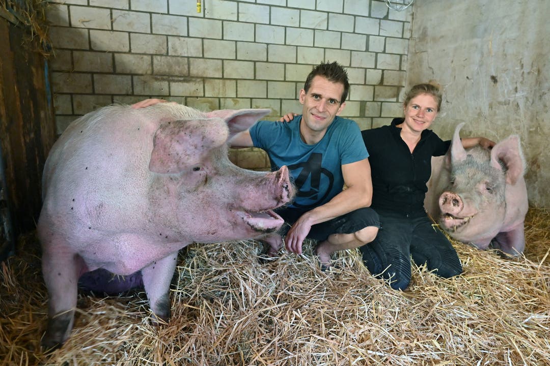 Tier-Arche Hägendorf mit Tanja und Daniel Moser und ihren geretteten Tieren