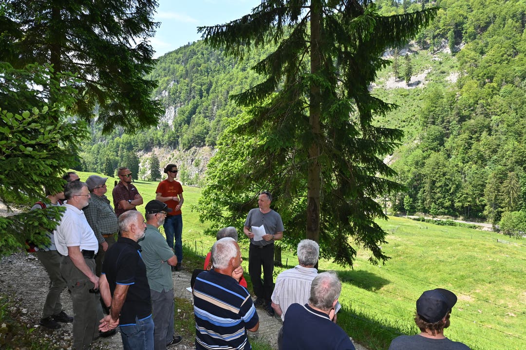 Förster Kilian Bader erklärte den anwesenden Förstern die getätigten Arbeiten an den Felssturzgebieten.