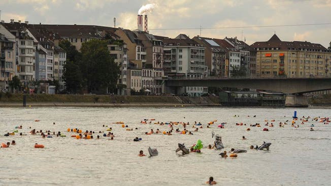 Wie sauber ist das Rheinwasser tatsächlich?