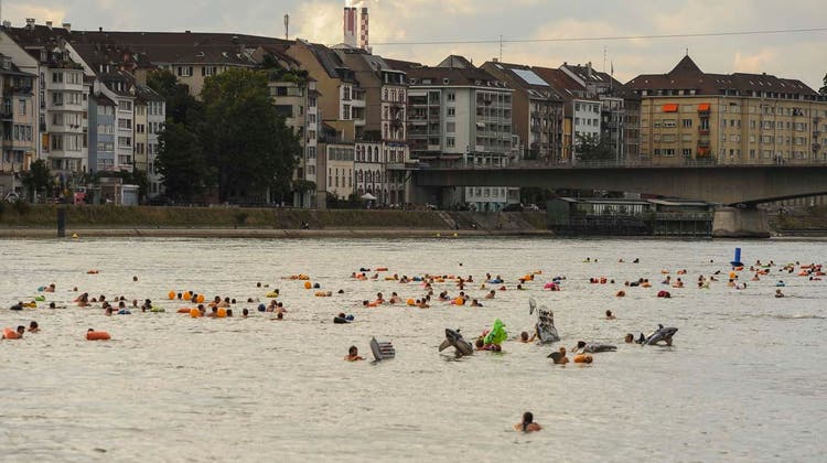 «Schadstofffreies Wasser ist in unserer Region Fiktion» – Giftige Substanz im Rhein