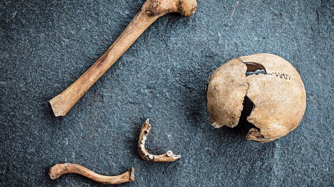 Vor zehn Jahren wurden bei der Richtstätte Knochen gefunden, die heute in der Kantonsarchäologie aufbewahrt werden.
