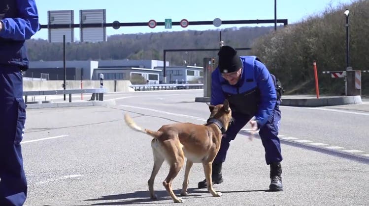 Aufsteller im Video: Spürhund «Athos» spielt mit den Chefs von Armee und Grenzwache