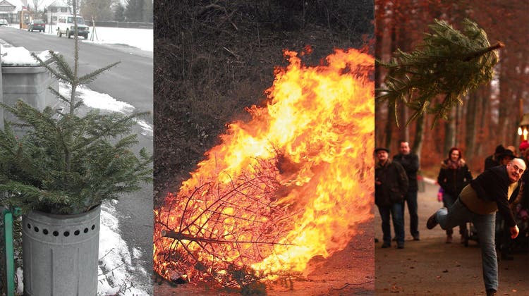 Verbrannt, verhäckselt und geworfen: So verfahren die Gemeinden mit Weihnachtsbäumen