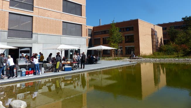 Harmonisch miteinander verbunden: rechts die alte Schulanlage mit Biotop, links das neue Gebäude mit kleinem Teich.