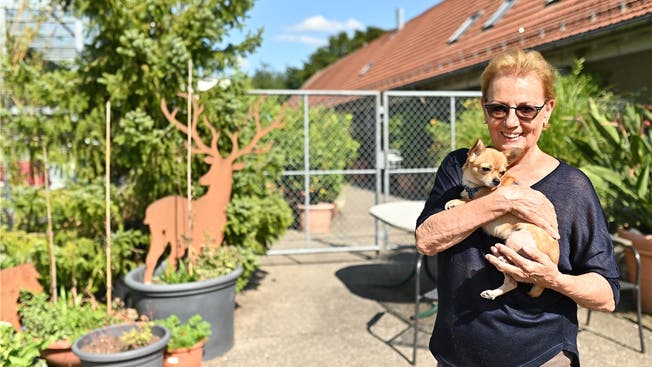 Susanne Klein mit Dancy ist seit einem halben Jahrhundert aktiv für die Tiere unterwegs.