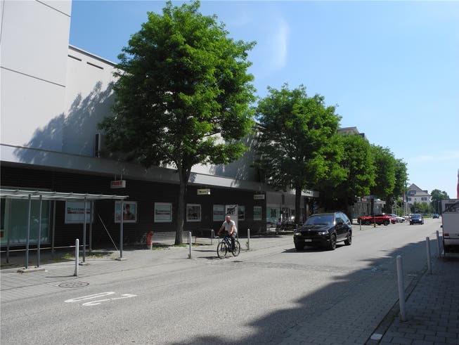 Gegen die geplante Fällung der fünf Robinien an der Solothurnstrasse wird jetzt eine Petition eingereicht.Bild: Andreas Toggweiler