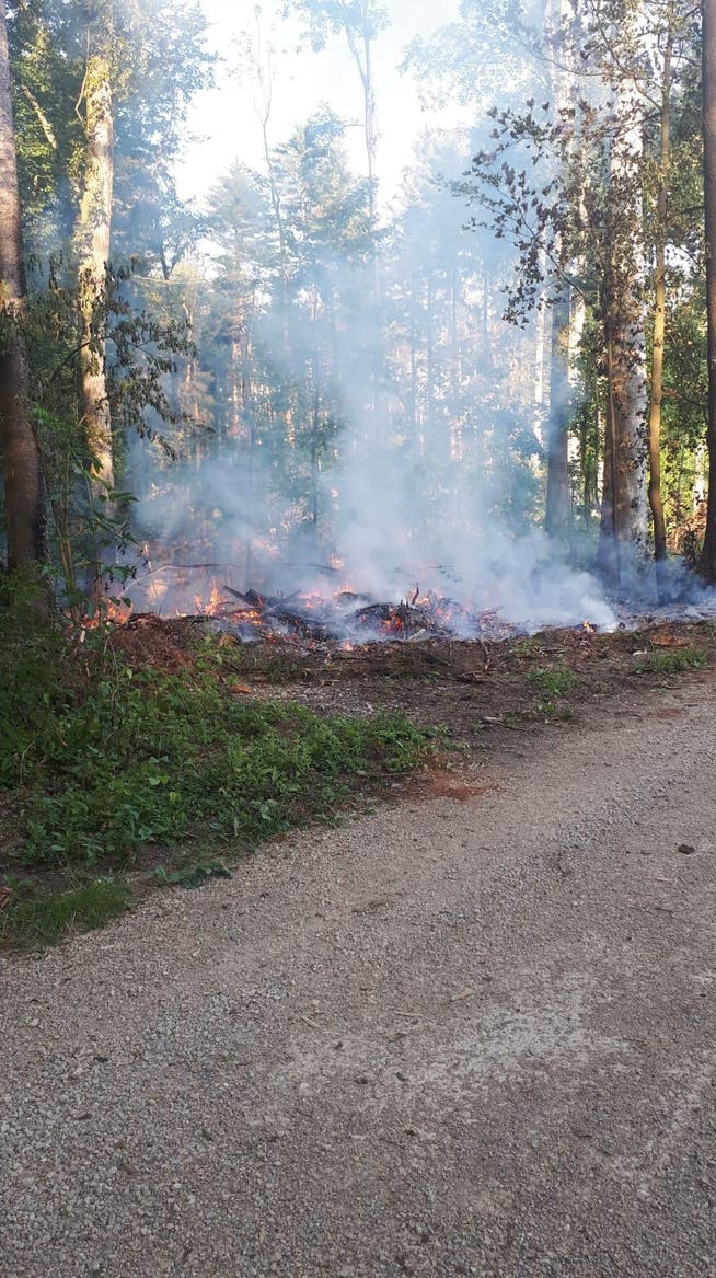 Am Sonntagabend brannte es im Wald oberhalb von Niedergösgen.