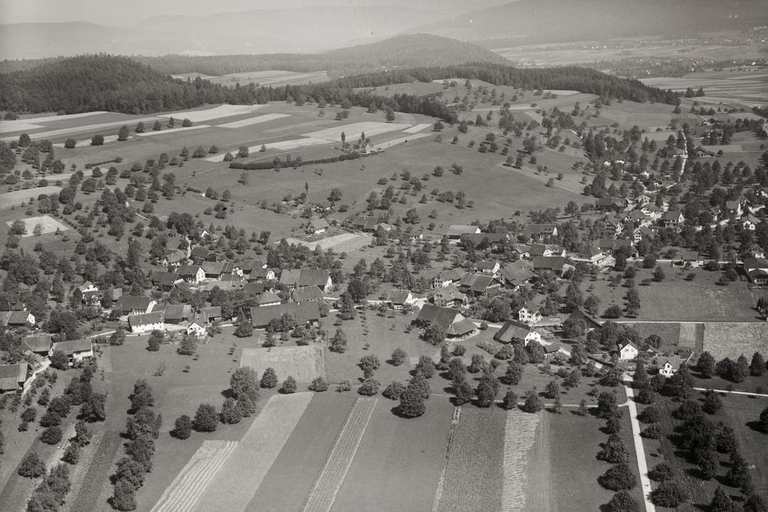 Dintikon 1947