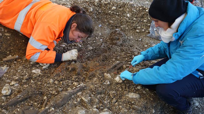 Zwei Mitarbeiterinnen der Archäologie legen ein Skelett frei.