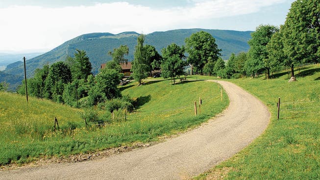 Die Strasse auf dem Oberberg ob Balsthal wird nebst anderen teilweise saniert.