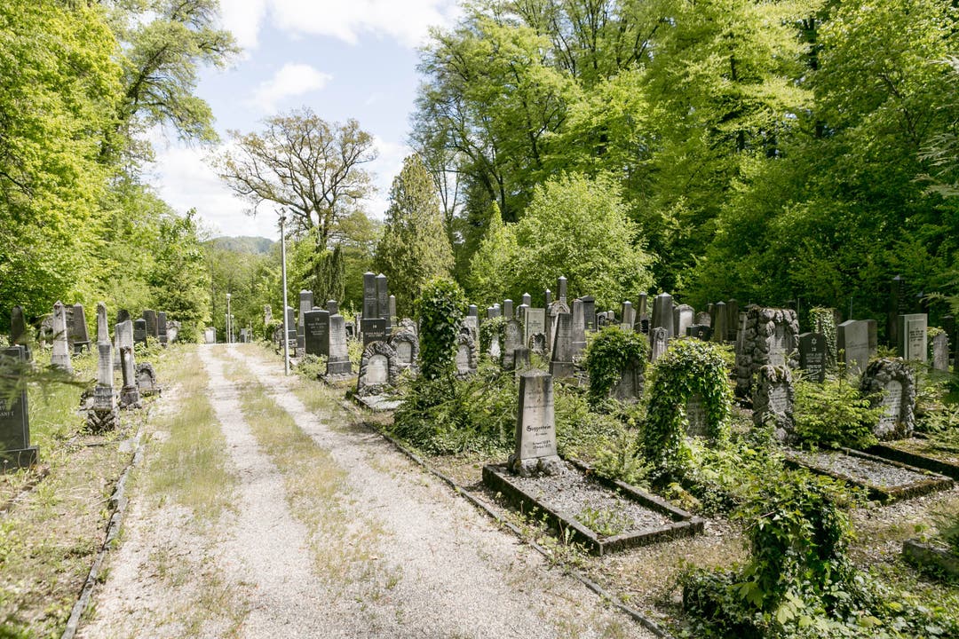 Chrüzliberg: Der jüdische Friedhof am Liebenfels.