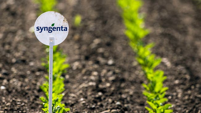 Das Basler Agrar-Unternehmen Syngenta kauft Novartis Werk ab. (Symbolbild)