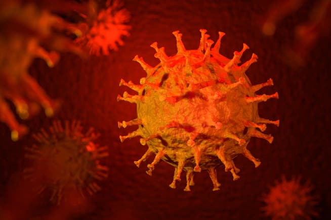 Das Coronavirus hat im Kanton bisher drei Personen das Leben gekostet.