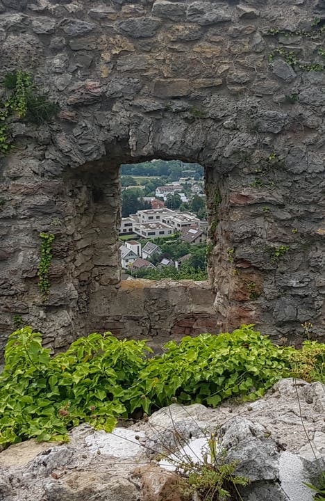 undefined Schlossruine Dornach: Blick in die Zukunft?