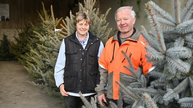 Heidi und Peter Sperisen verkaufen zum letzten Mal Weihnachtsbäume.