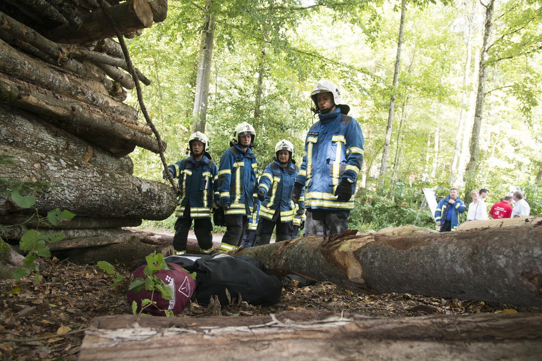 Feuerwehr Grenchen Jahresübung Feuerwehr Grenchen Jahresübung bei Holzerhütte, eine von Bäumen verschüttete Person wird gerettet