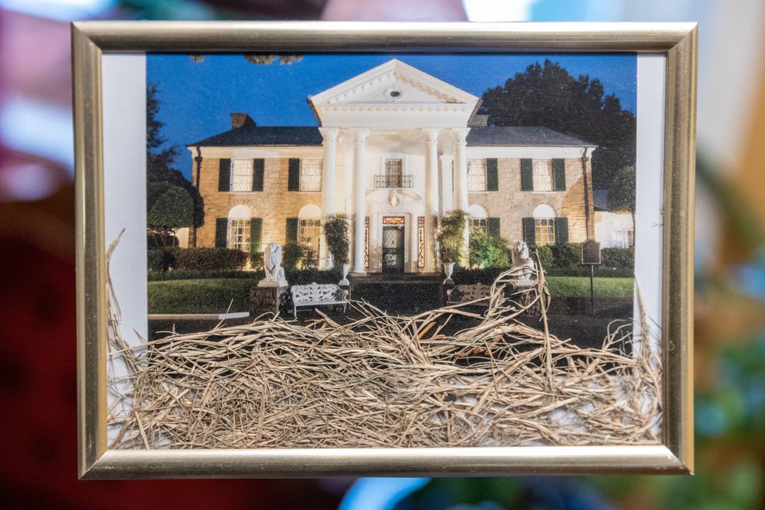 Eine Foto von Graceland und dazu getrocknetes Gras aus Memphis als Deko.