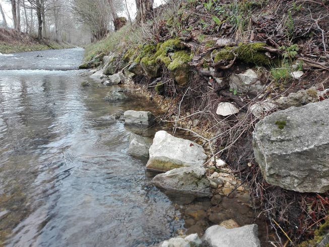 Das Ufer der Dünnern in Matzendorf muss saniert werden. Aber wie? Darüber wurde diskutiert.
