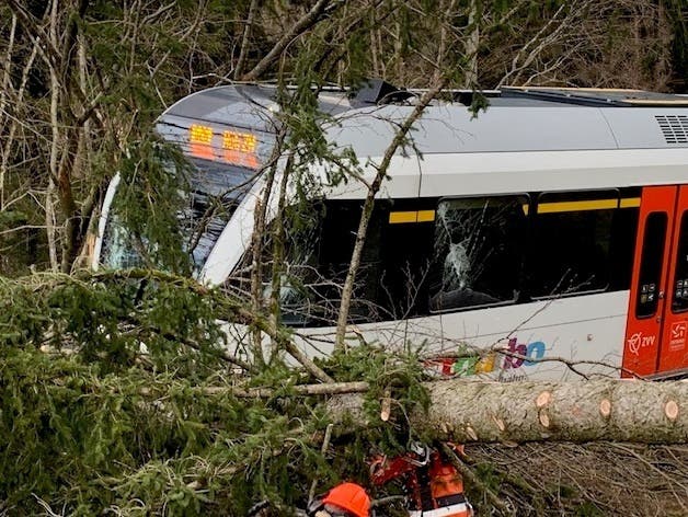 Wald ZH, 10. Februar: Bei einer Kollision eines Regionalzuges (S 26 von Gibswil Richtung Rüti) mit einem umgestürzten Baum in Wald ist am Montagmorgen (10.2.2020) grosser Sachschaden entstanden. Verletzt wurde niemand.