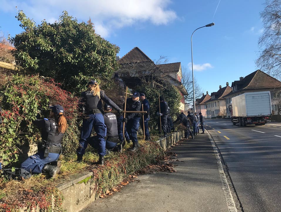 Am Tag nach der Tat durchforstet die Kantonspolizei Aargau mit einem 20-köpfigem Team die Umgebung.
