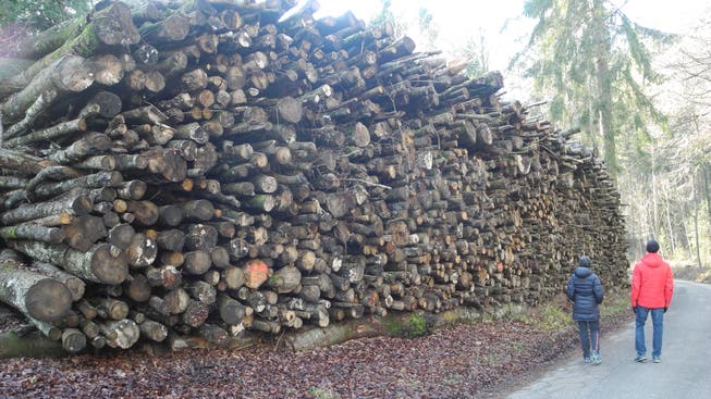 242 Kubikmeter umfasst dieses Lager für Brennholz der Bürgergemeinde Grenchen.