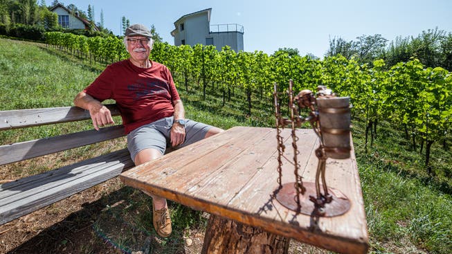 Ruedi von Arx vor seinen Reben mitten in Oensingen: Bis zu 400 Flaschen Wein kann er jährlich daraus machen lassen.