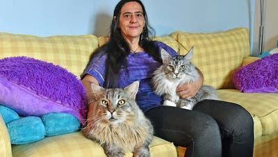 Sie lebt mit 22 Katzen zusammen: «Viele denken, ich habe einen Knall»