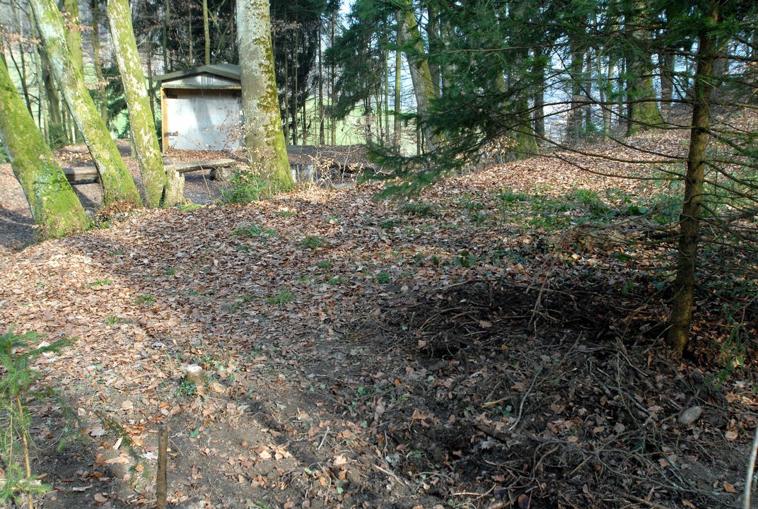 Hier im Wald von Neuenhof lag der Leichnam von Marco K., auch er war Mitinhaber des Saunaclubs "Saturn". (Archivbild von 2007)