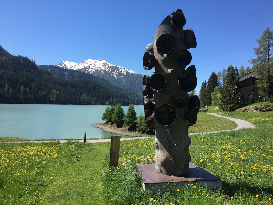 undefined Klangbaum am Davosersee