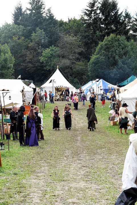 Wums wurde zum zweiten Mal durchgeführt Impressionen vom Wikinger- und Mittelalter-Spektakel Wums in Hilfikon/Villmergen.