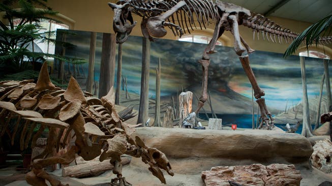 Mit dem Geld kann das Museum eine neue Ausstellung über Meteoriten und das Ende der Dinosaurier finanzieren. (Archiv)