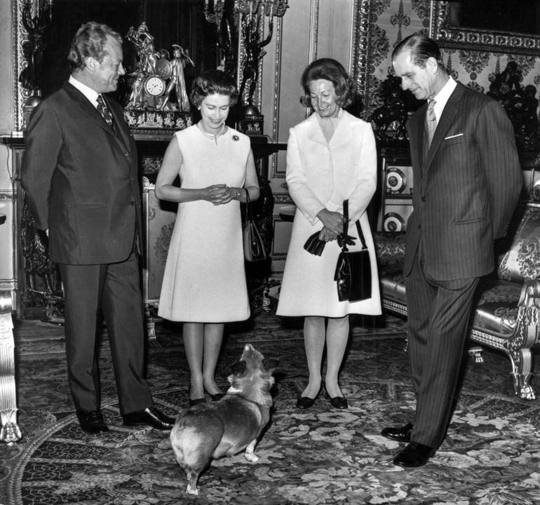 Beim Besuch des deutschen Bundeskanzlers Willy Brandt (links) und dessen Frau Rut 1972 auf Schloss Windsor erheitert der Welsh Corgi der Queen die Stimmung.