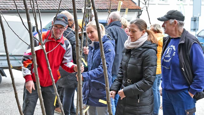 Mit 3000 Franken bereitete der Oensinger Verein den Baumfreunden viel Freude.