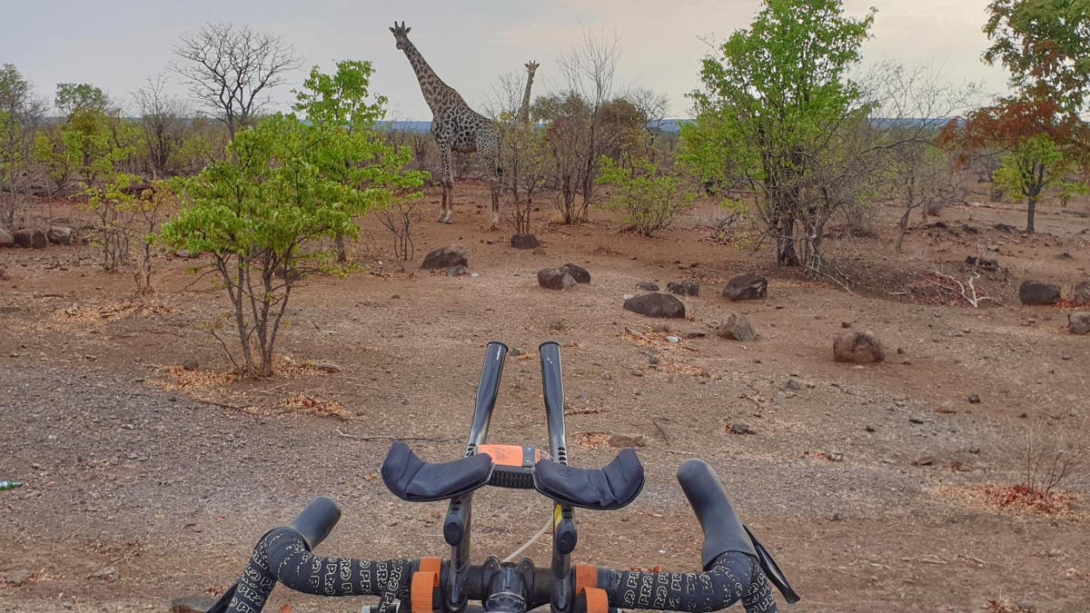 In Botswana traf der Extremsportler auf Giraffen und andere Wildtiere. Er war froh, auf einer Polizeiwache schlafen zu können.