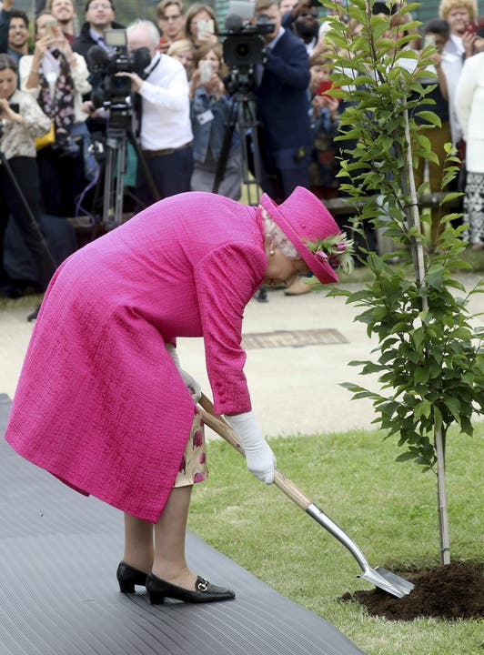 Die Queen hat in ihrem Leben wohl einen ganzen Wald gepflanzt. Auch im Alter von 93 Jahren greift sie medienwirksam zur Schaufel.