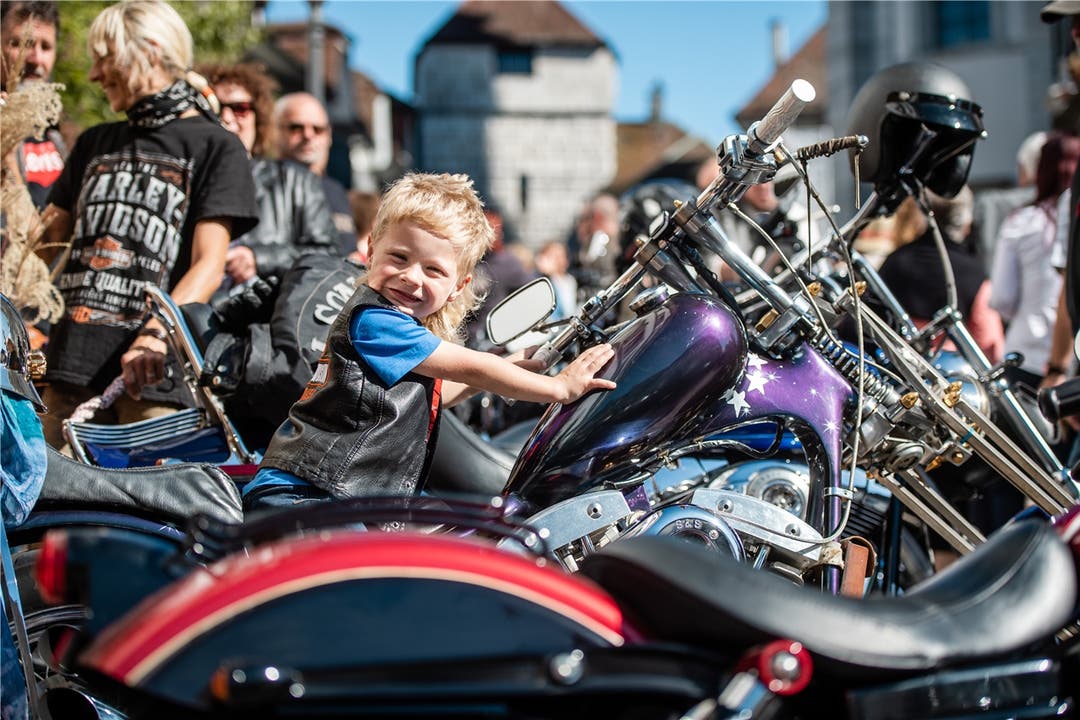 Keiner zu klein, ein Harley-Fan zu sein.
