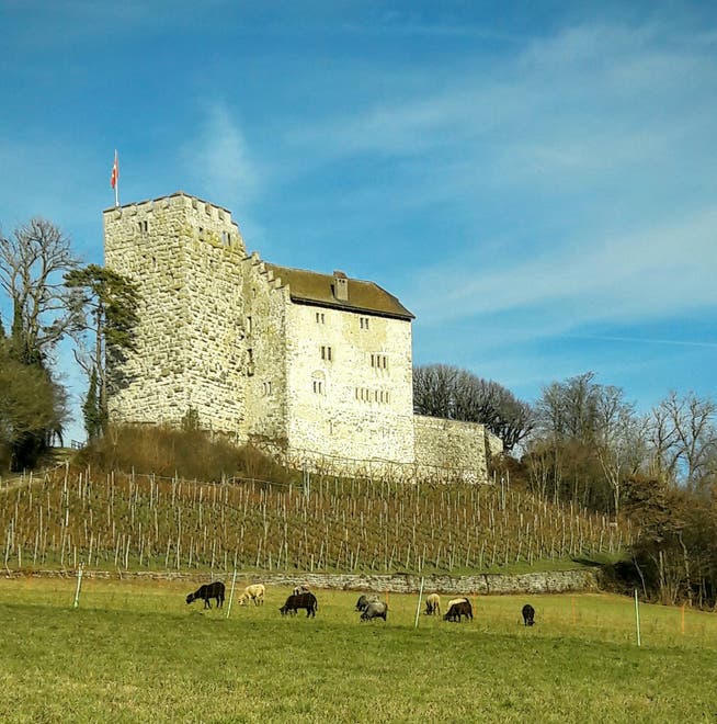 Schloss Habsburg